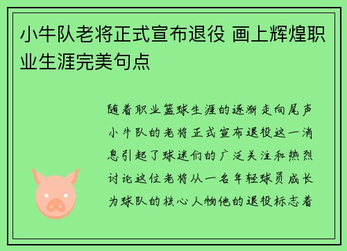 小牛队老将正式宣布退役 画上辉煌职业生涯完美句点
