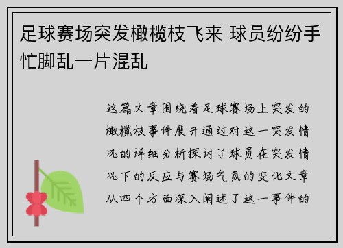 足球赛场突发橄榄枝飞来 球员纷纷手忙脚乱一片混乱