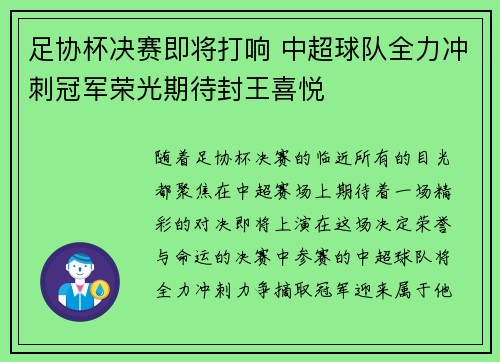 足协杯决赛即将打响 中超球队全力冲刺冠军荣光期待封王喜悦